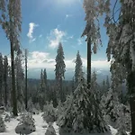 Schatzkisterl 3*