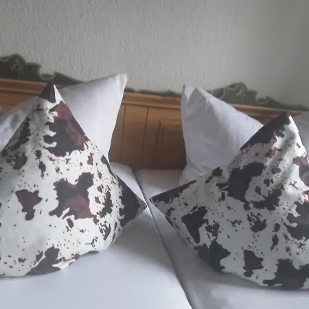 Schatzkisterl Vendégház Zwiesel