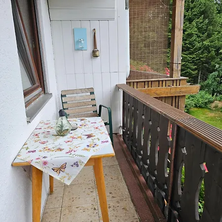Schatzkisterl Vendégház Zwiesel