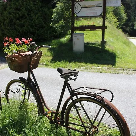 Gasthof Schatzkisterl Zwiesel