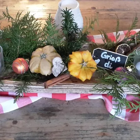Schatzkisterl Vendégház Zwiesel