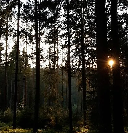 Schatzkisterl 3*