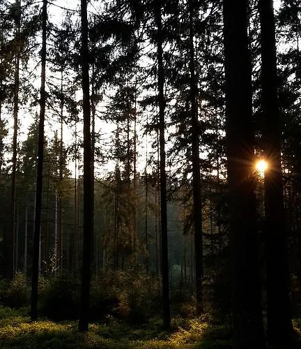 Schatzkisterl 3*